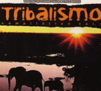 Tribalismo Compilation Vol 6